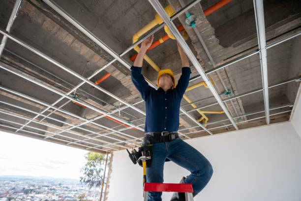 Best Plumbing Services Near Me  in Tton, IL