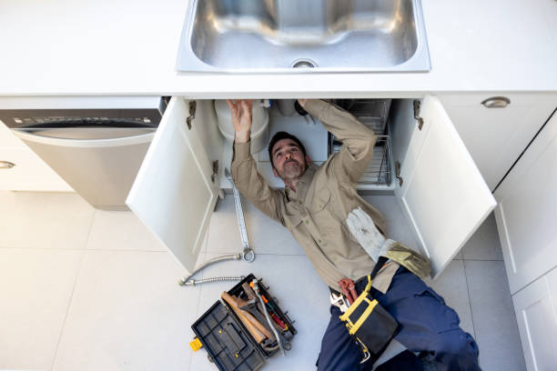 Best Drain Cleaning Services  in Tton, IL
