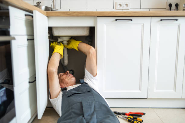 Best Plumbing Inspection Services  in Tton, IL