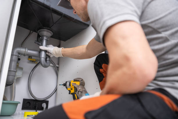 Best Local Plumber Services  in Tton, IL